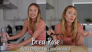 Penis chopped off and blended - penectomy