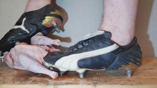 Puma V-Kon SG zertreten ein Suppenhuhn (2)