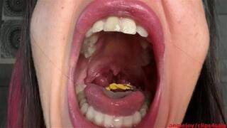 Father-in-law digested & changed wmv