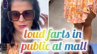 loud farts on public in moll