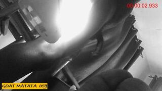 GOAT MATATA 059