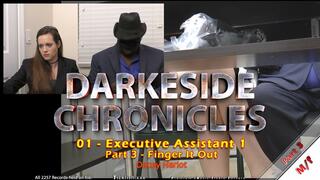 Darkeside Chronicles 01 - Executive Assistant 1 - Part 3