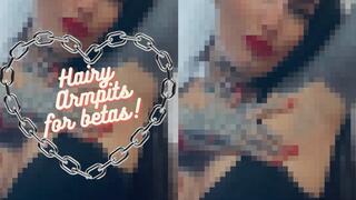 HAIRY ARMPITS FOR BETAS - Caged and ready for destroy you with pixels