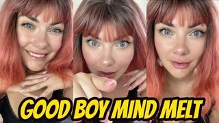 Good Boy Mind Melt