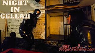 Night In Cellar HD