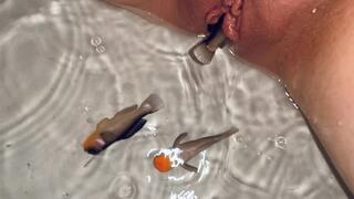 Fake Fish in My Pussy