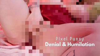PIXEL PUSSY DENIAL AND HUMILIATION CUSTOM