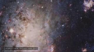 Test Clip - August 23, 2024