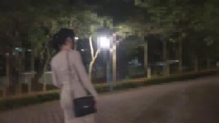 Remote control vibrate anal plug underclothes in public