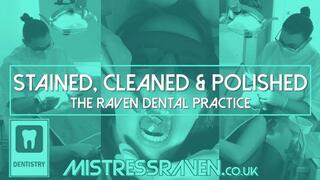 [939] Stained Cleaned and Polished The Raven Dental Practice
