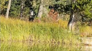 The Huntress - Backcountry Blowjob