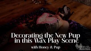 Slow Wax Play Scene with Pup Sam & No1 Pup