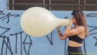 Maya B2P a Pastel SR 16"