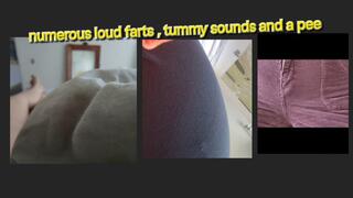 NUMEROUS LOUD FARTS TUMMY SOUNDS AND A PEE