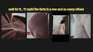 lotsa loud bubbly farts and sneezes burps and big tits 4 the pets