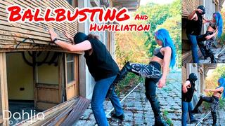 Ballbusting and humiliate my worthless slave (Italian speech)