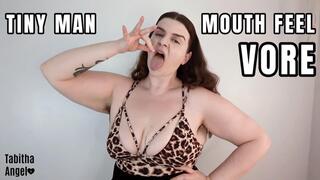 Tiny Man Mouth Feel Vore MP4
