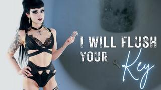 I Will Flush Your Key