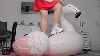 Mila - Lifeguard advanced - Part 1