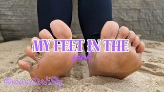 Worship My Feet In The Sand