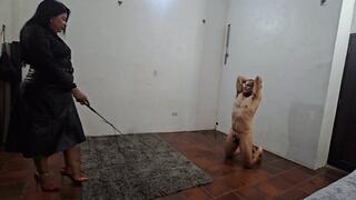 Whipped until collapse by the Amazon BBW Goddess Balbina