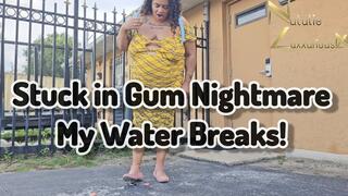 Stuck in Gum Nightmare My Water Breaks 1080