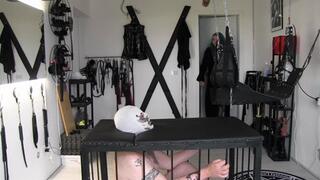 Caged feet adoration with Miss Lilli Bayle