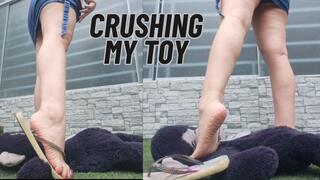 Crushing my new toy