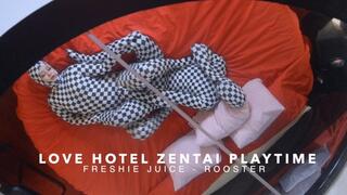 Love Hotel Zentai Playtime and Dryhumping!