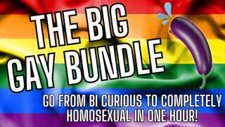 Bi Curious to Homosexual