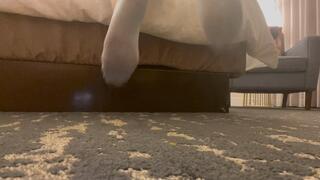 Low-cut socks with dirty soles in a hotel room