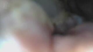 Tiny Lunch ENDOSCOPE EXTENDED EDITION