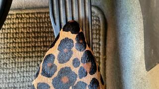 (AUDIO) Pedal to the Metal (Fast Driving with Janessa)