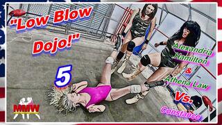 Low Blow Dojo! 5 WMV