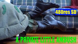 A Private Little Ambush - boots on 540res SD