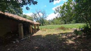 Quick blowjob at an abandoned house outdoor
