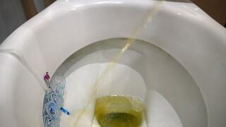 APOLLO: Tiny Intruder: Dangers Around The House