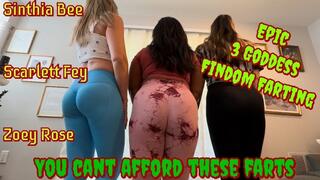 You Cannot Afford Our Farts (POV Findom)