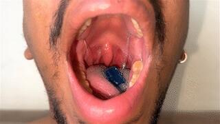 GIANT PAITTER & THE TASTY VICTIM SUB