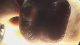 Paris "Kiss Me" 1920x1080