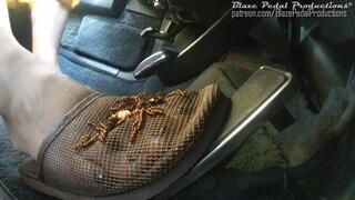958-Patty Mesh Slippers Fast Drive Deville (Auxillary)