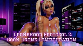 Dronehood Protocol 2: Goon Drone Configuration