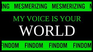 My Voice is Your World