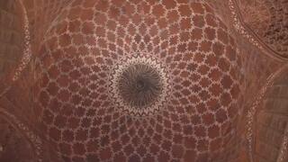 Drive and Obey: The Queen’s Infinite Control Loop