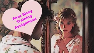 Your First Sissy Training Assignment
