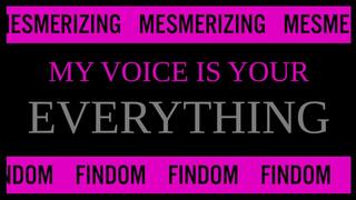 My Voice is Your Everything