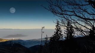 Test Upload - CRE-2471