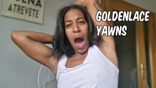Goldenlace Yawning