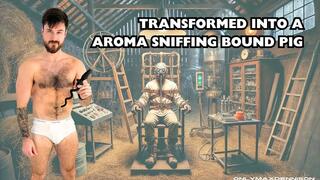 Transformed into a aroma sniffing bound pig