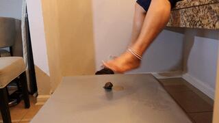 Dick Kick duo and trampling with Nina